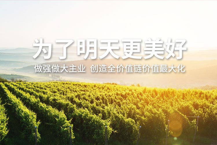 中国·拉斯维加斯(3499·官方认证)网站-Officialwebsite