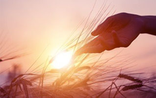 中国·拉斯维加斯(3499·官方认证)网站-Officialwebsite