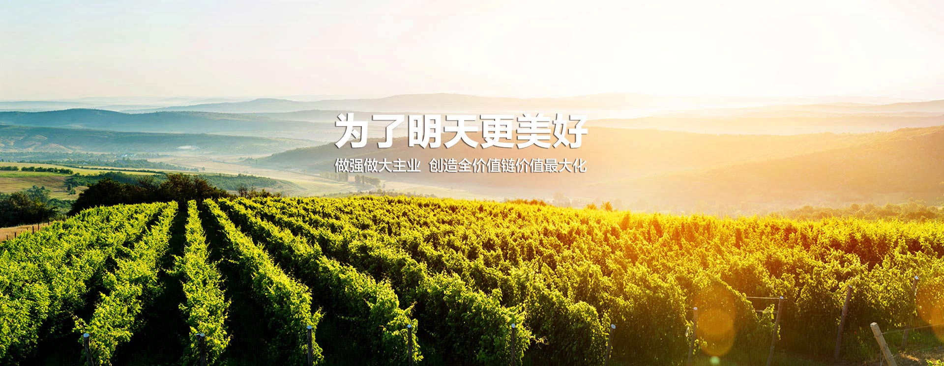 中国·拉斯维加斯(3499·官方认证)网站-Officialwebsite