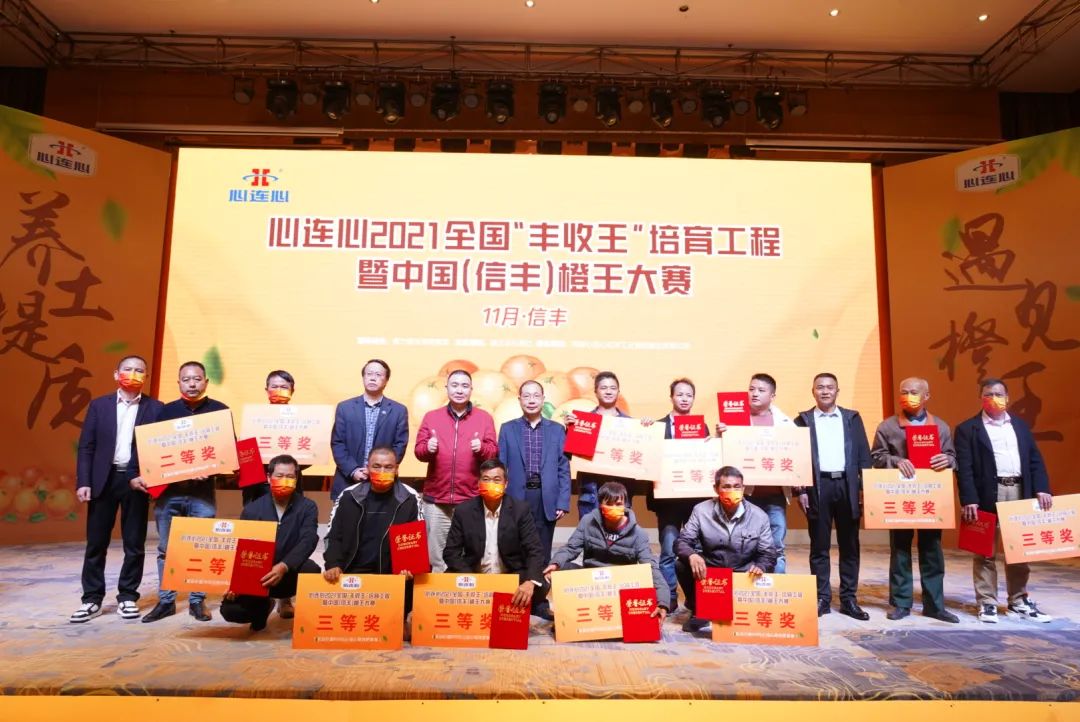 信丰脐橙“丰登王”甜美出炉，3499拉斯维加斯线路助力产区提质增效